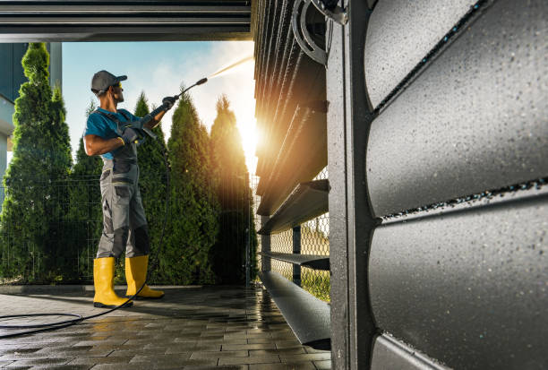 Best Solar Panel Cleaning  in Harbor Isle, NY